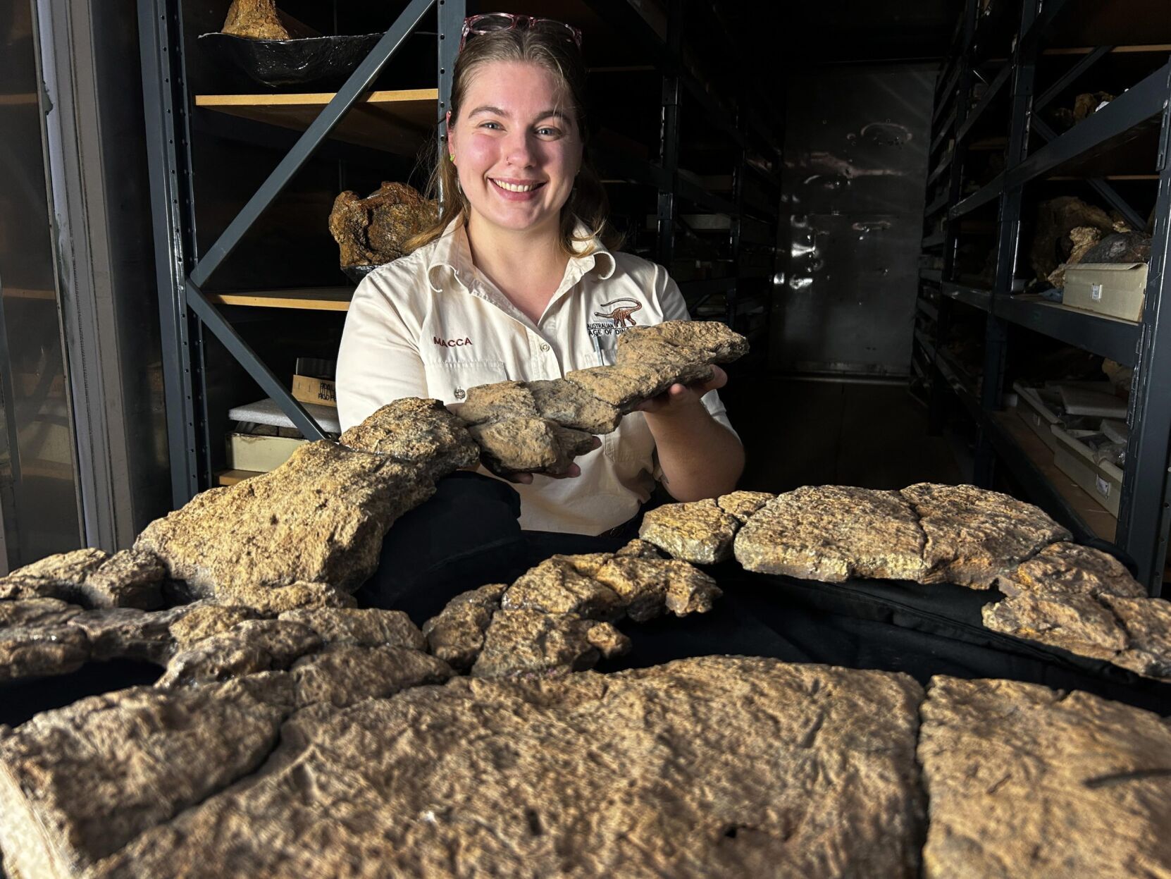 Long-necked dinosaurs didn’t bother chewing, suggests new research